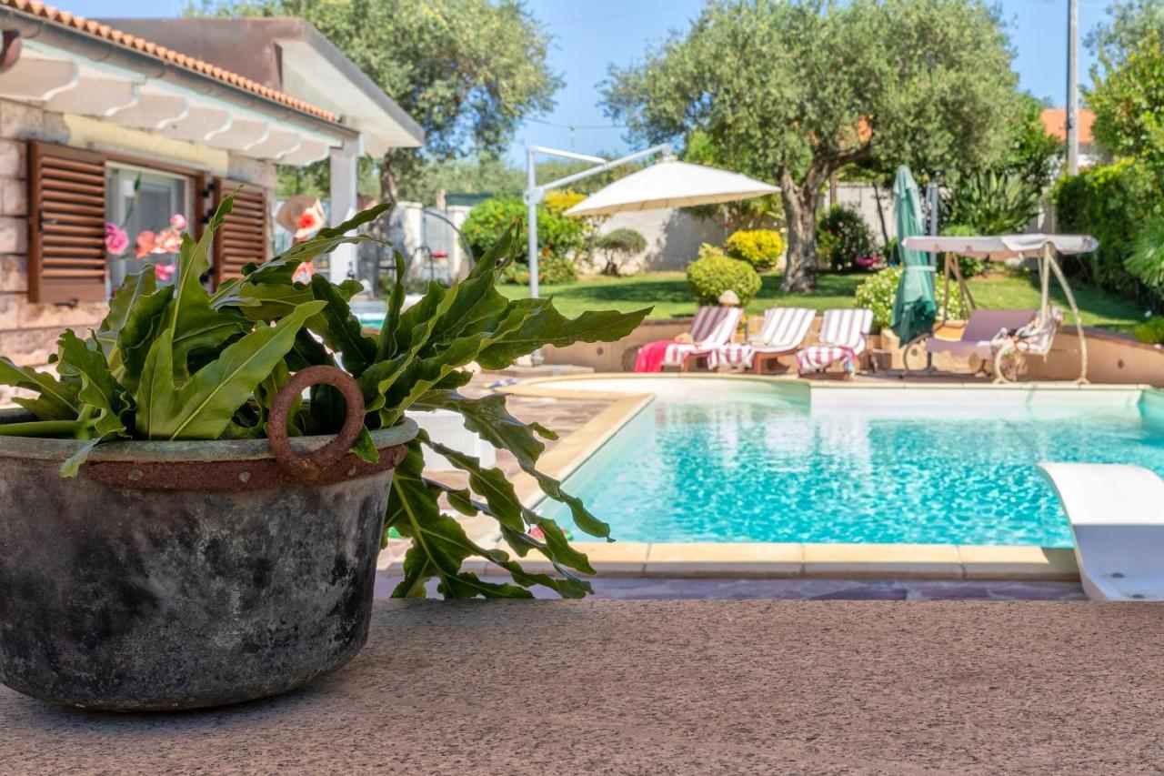 Villa Sunflower Alghero Exteriör bild